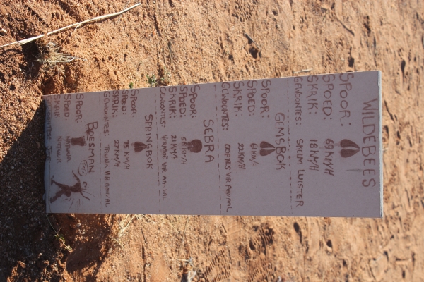 human-rights-law-enforcement-img-9